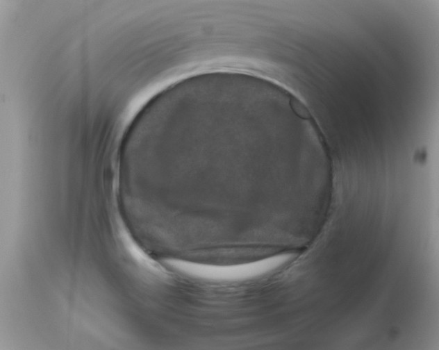 X0000113071515200909182012