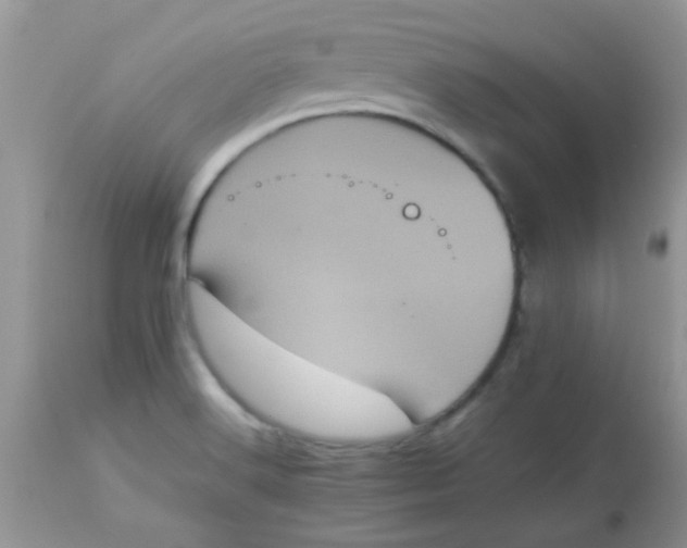 X0000113071516200909182012