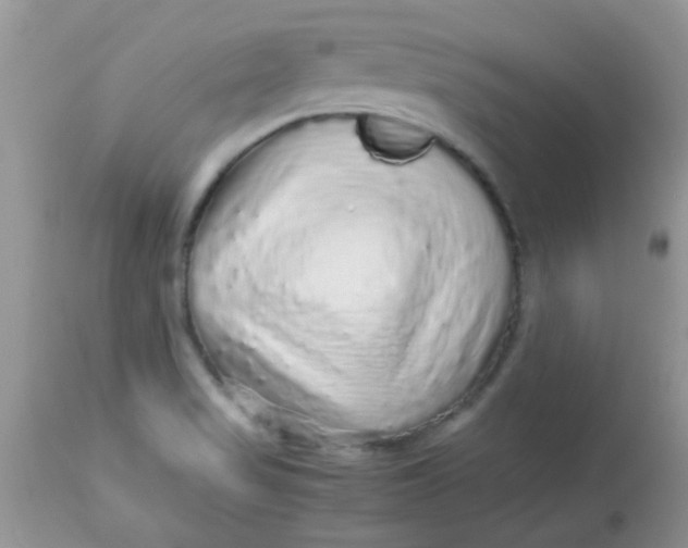 X0000113071517200909182012