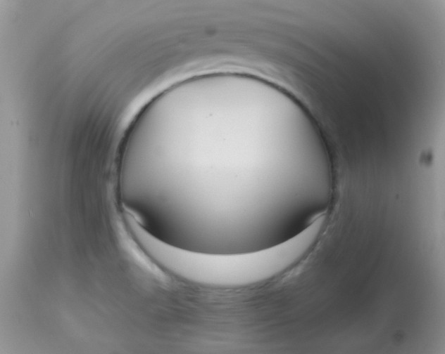 X0000113071518200909182012