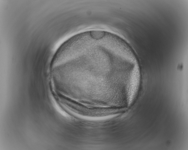 X0000113071519200909182012