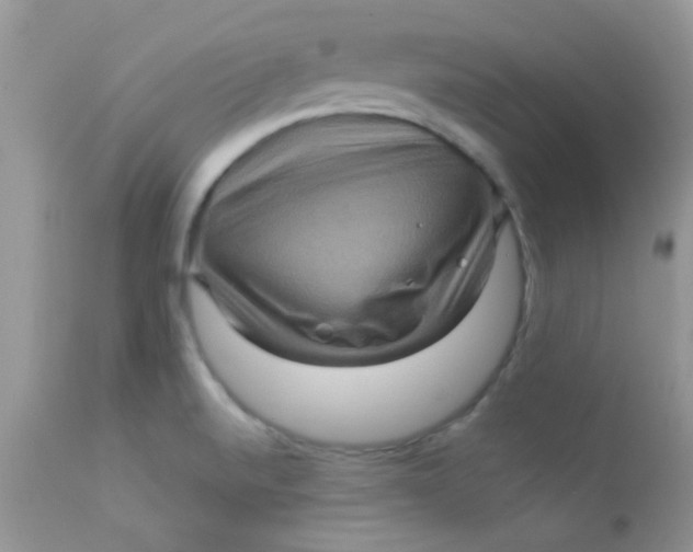 X0000113071520200909182012