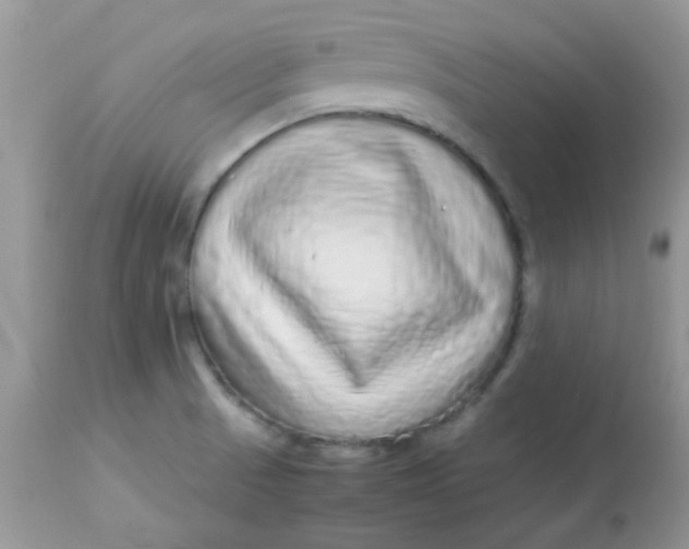 X0000113071521200909182012