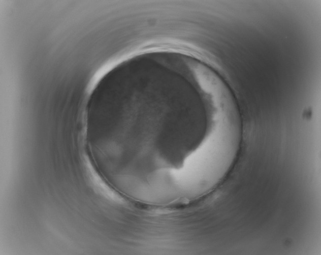 X0000113071522200909182012