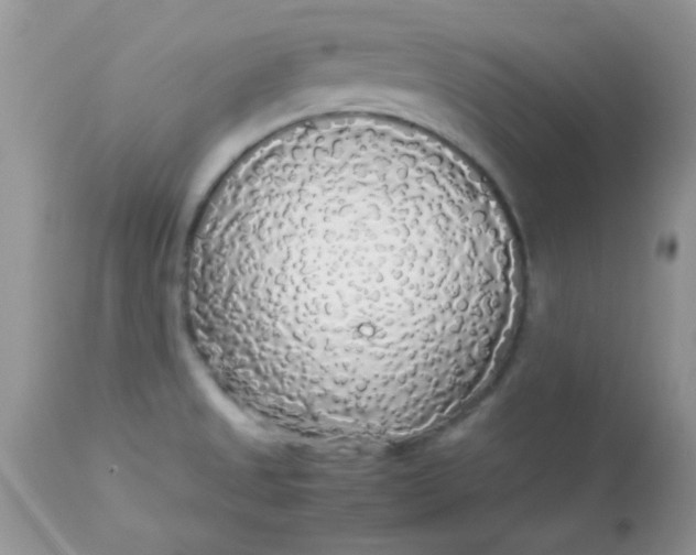 X0000113071525200909182012