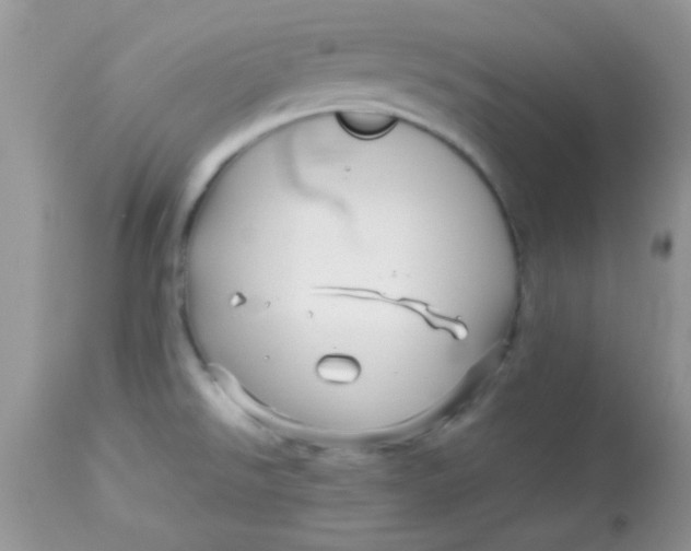 X0000113071526200909182012