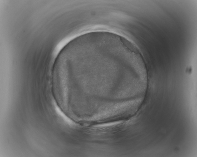 X0000113071527200909182012