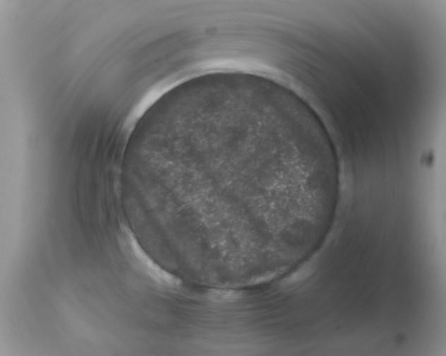 X0000113071529200909182012