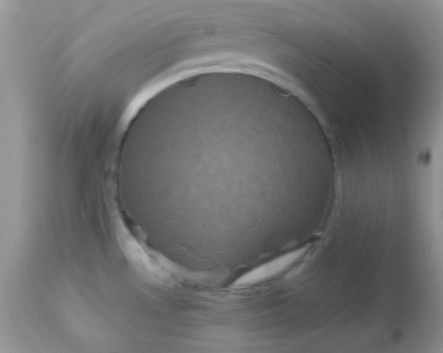 X0000113071530200909182012