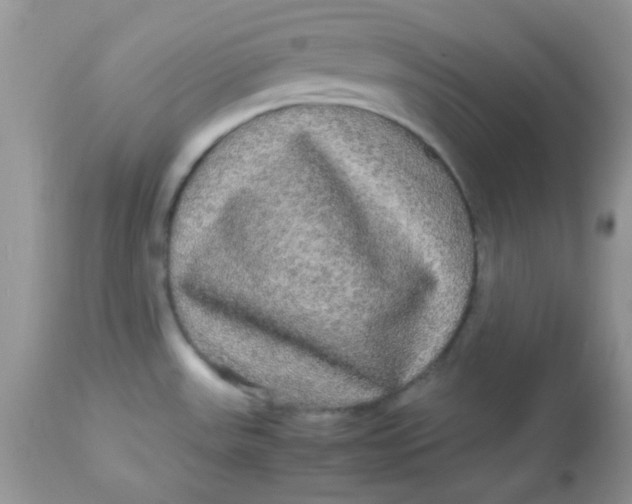 X0000113071531200909182012