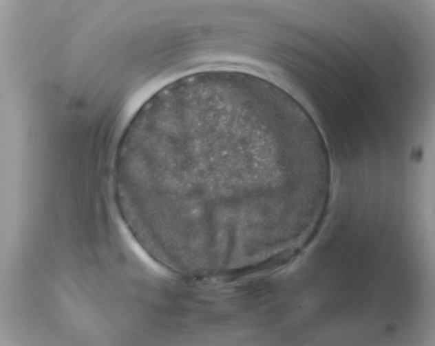 X0000113071533200909182012