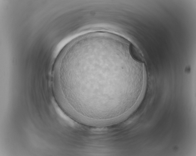 X0000113071535200909182012