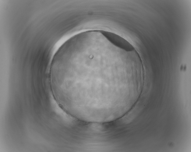 X0000113071536200909182012