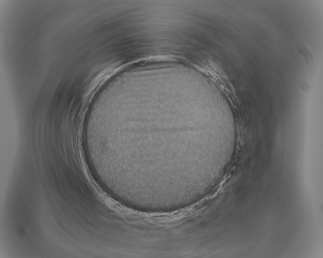 X0000113070001200909250939