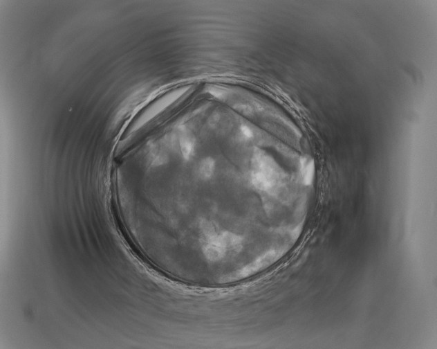 X0000113070002200909250939