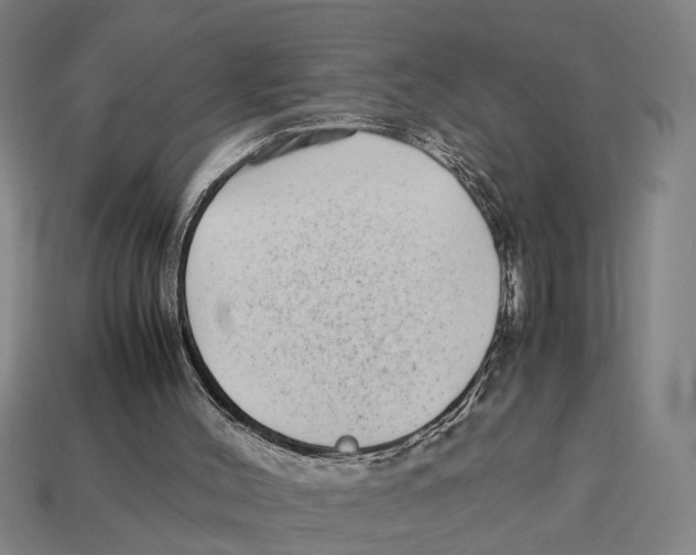 X0000113070004200909250939