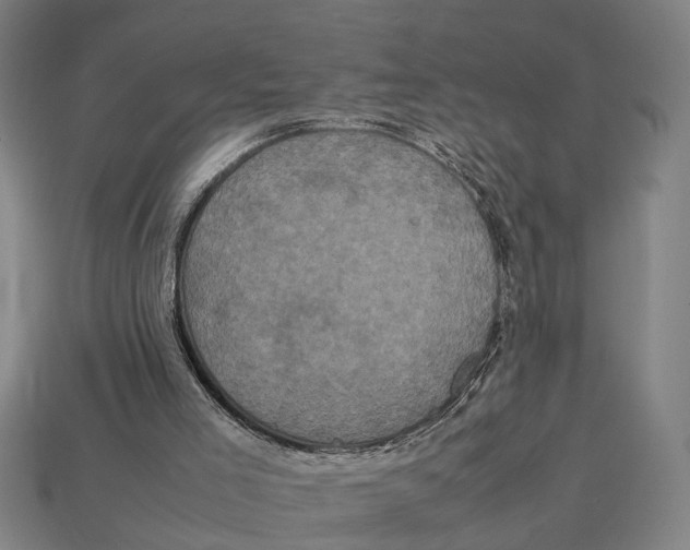X0000113070005200909250939
