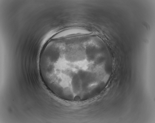 X0000113070006200909250938