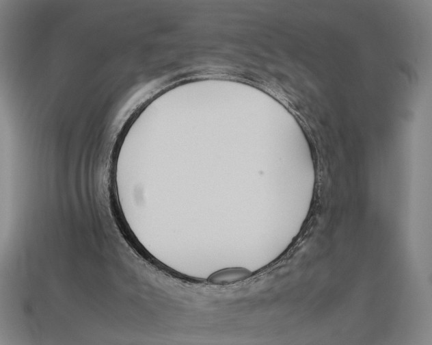 X0000113070007200909250938