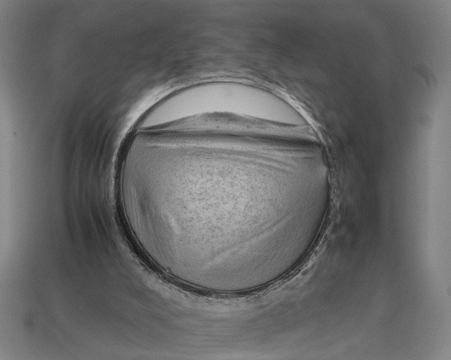 X0000113070008200909250938