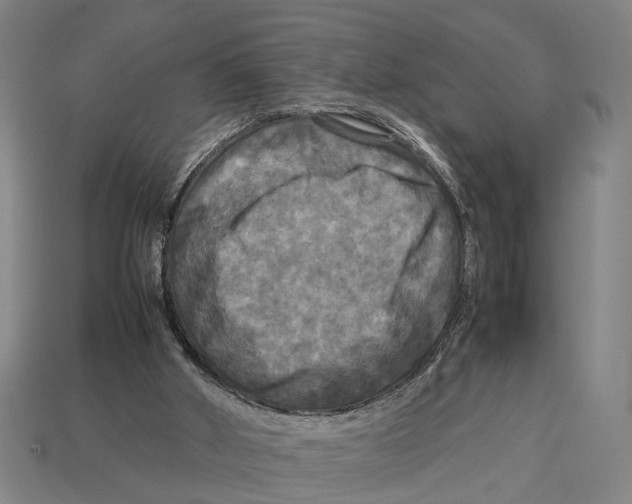 X0000113070010200909250938