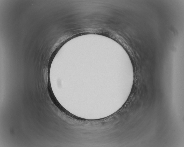 X0000113070011200909250938