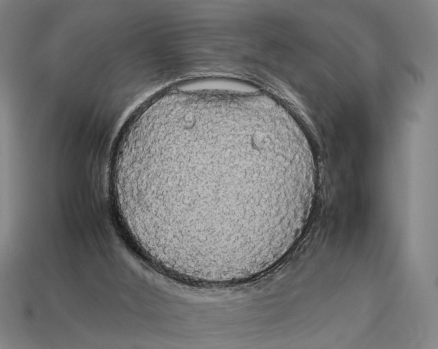 X0000113070012200909250938