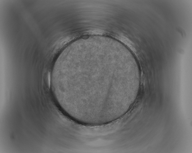X0000113070013200909250938