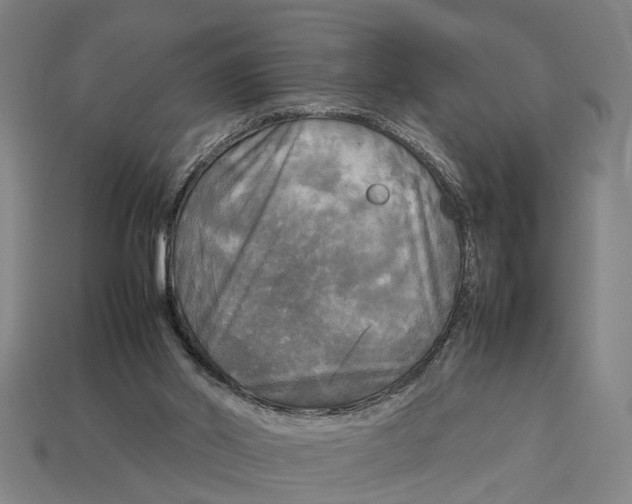 X0000113070014200909250938