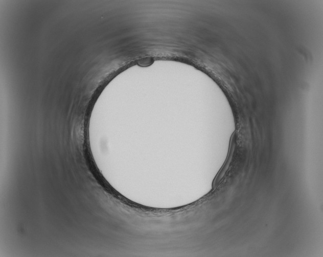 X0000113070015200909250938