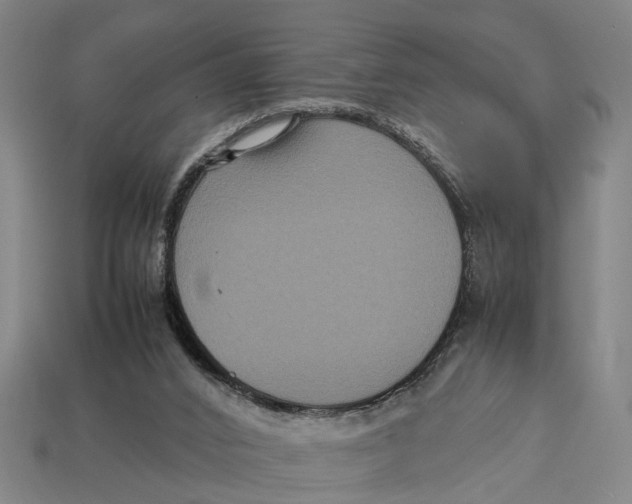 X0000113070016200909250938