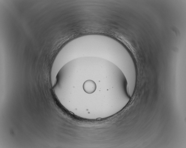 X0000113070017200909250938