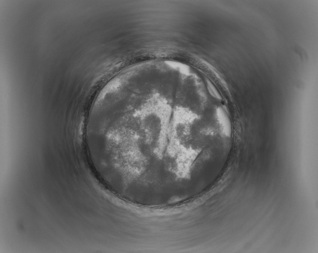 X0000113070018200909250938