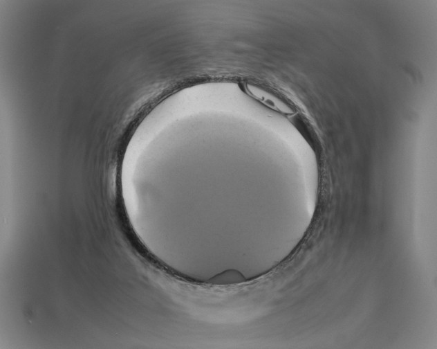 X0000113070019200909250938