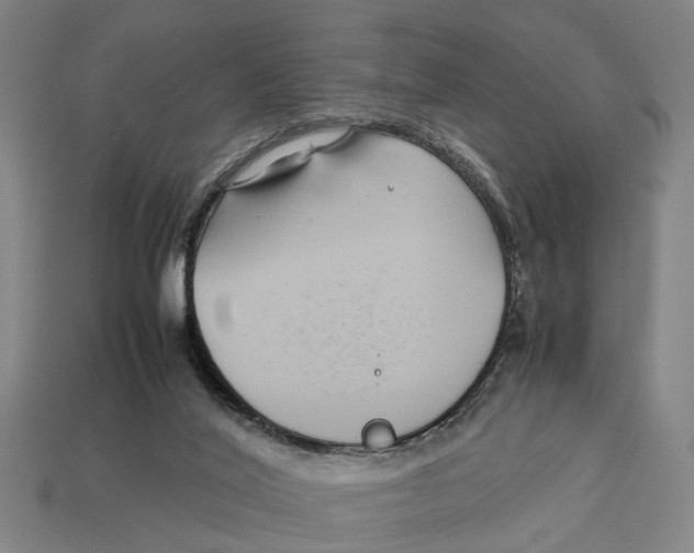 X0000113070020200909250938