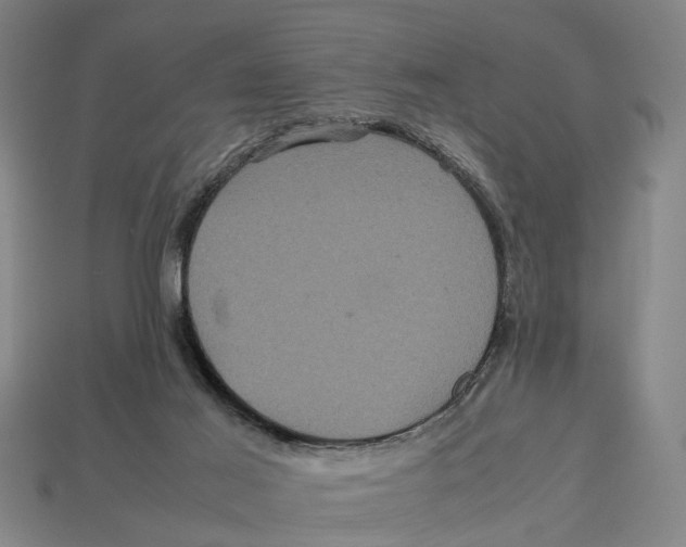 X0000113070021200909250938