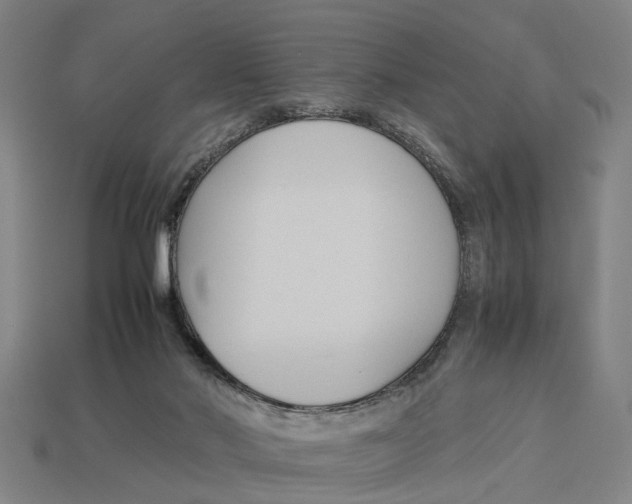 X0000113070022200909250938