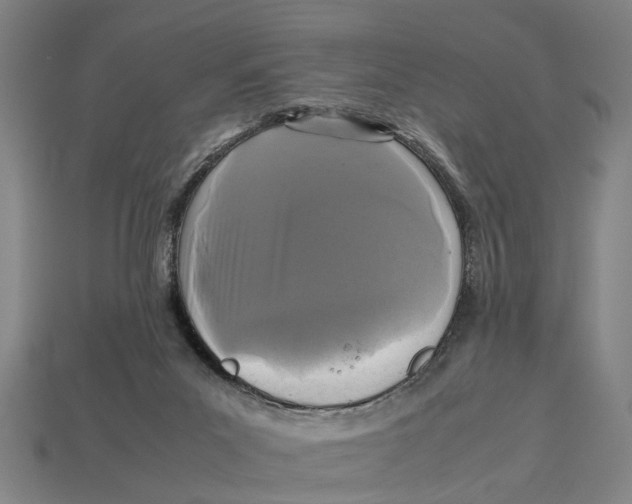 X0000113070023200909250938