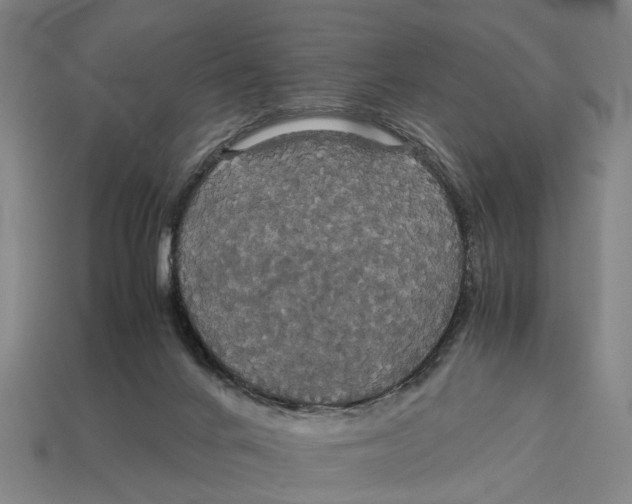 X0000113070024200909250938