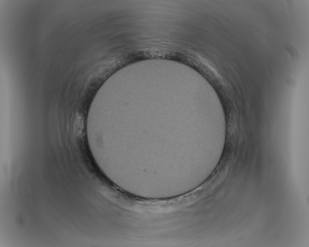 X0000113070025200909250938