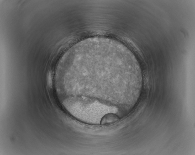 X0000113070026200909250938