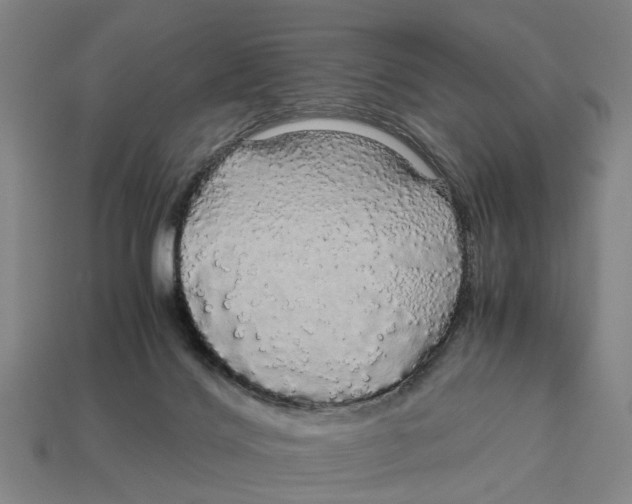 X0000113070028200909250938