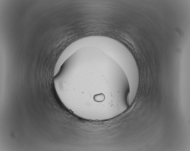 X0000113070029200909250938