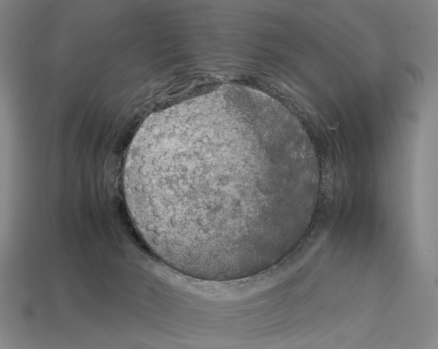 X0000113070030200909250938