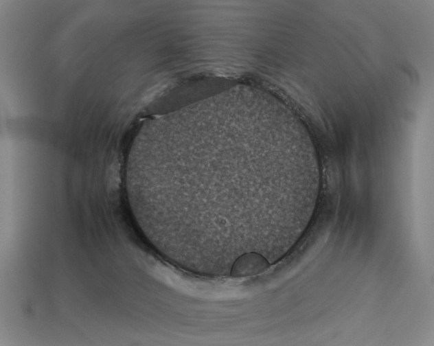X0000113070032200909250938