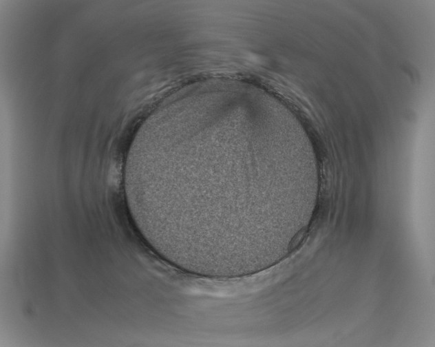 X0000113070033200909250938