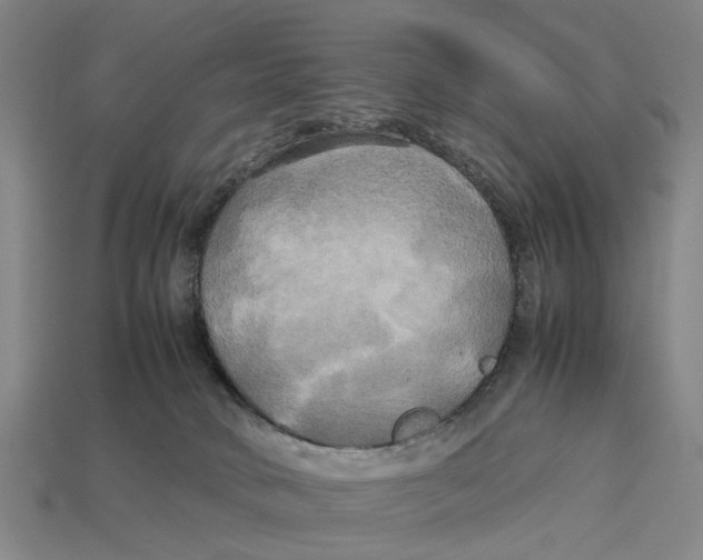 X0000113070034200909250938