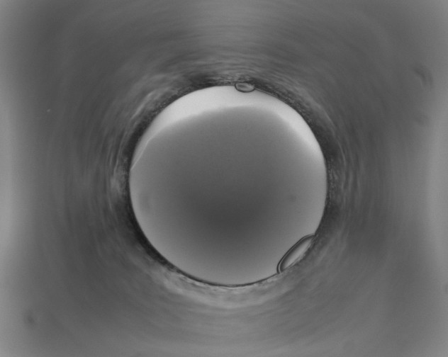 X0000113070035200909250938