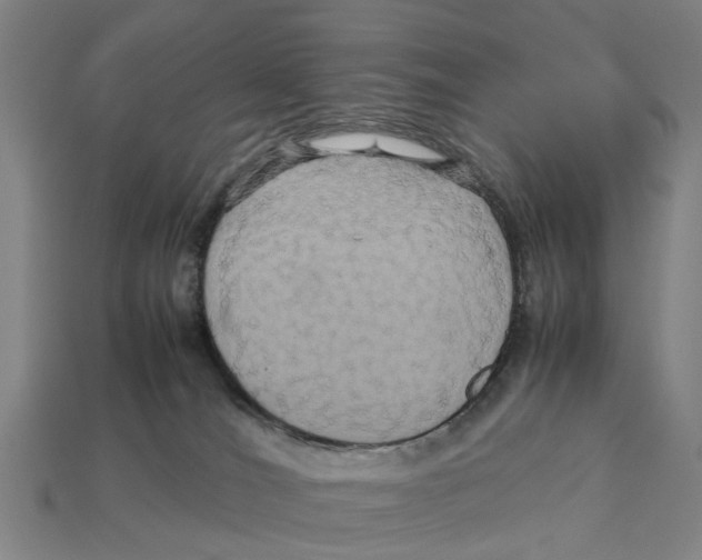 X0000113070036200909250938