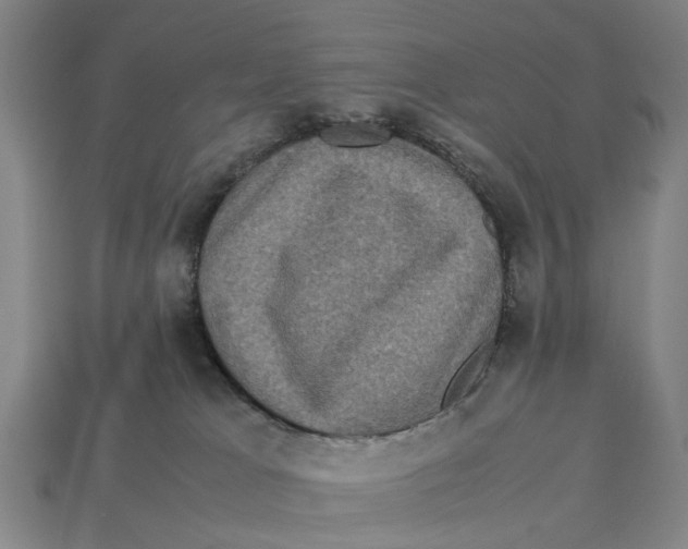 X0000113070037200909250938